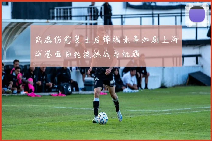 武磊伤愈复出后锋线竞争加剧上海海港面临轮换挑战与机遇